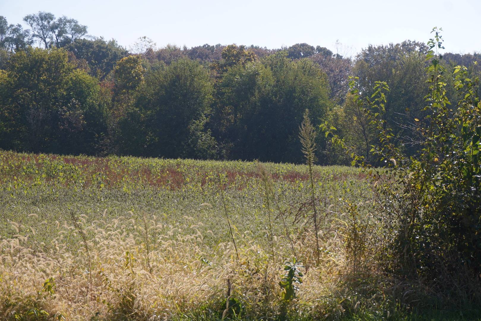 Sec8 W Eames ST, Channahon, IL 60410