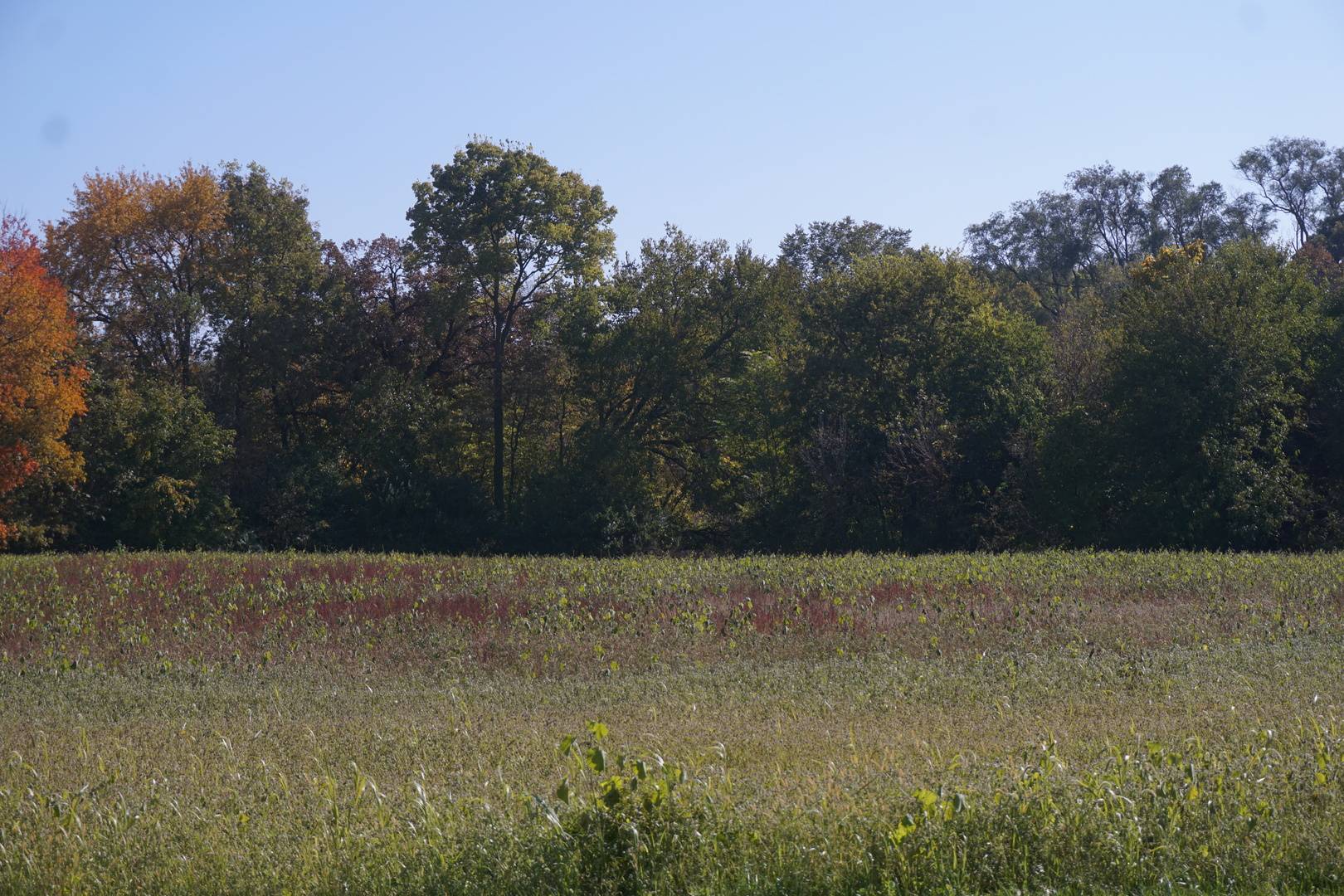 Sec8 W Eames ST, Channahon, IL 60410