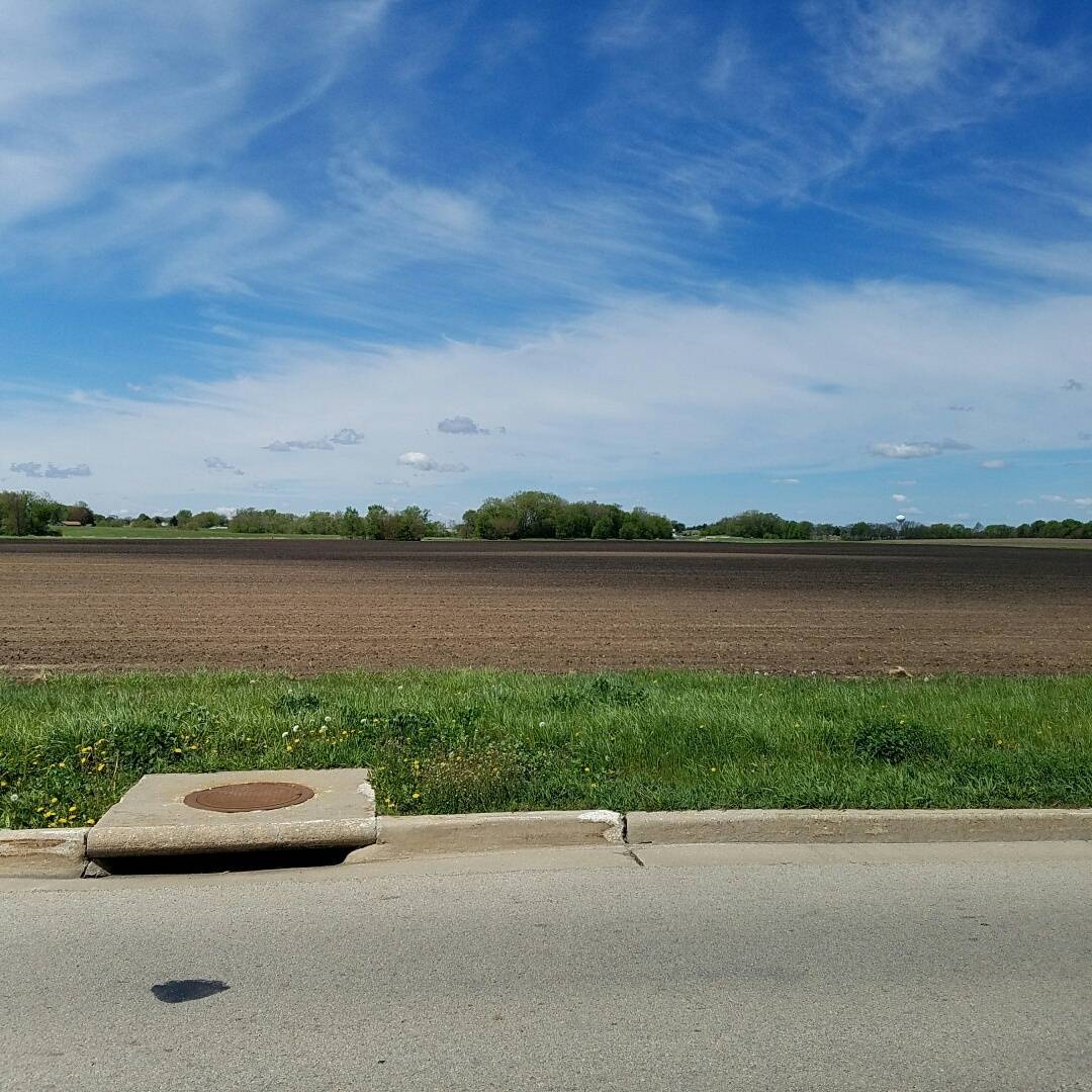 0 Caron & Flagg RD, Rochelle, IL 61068