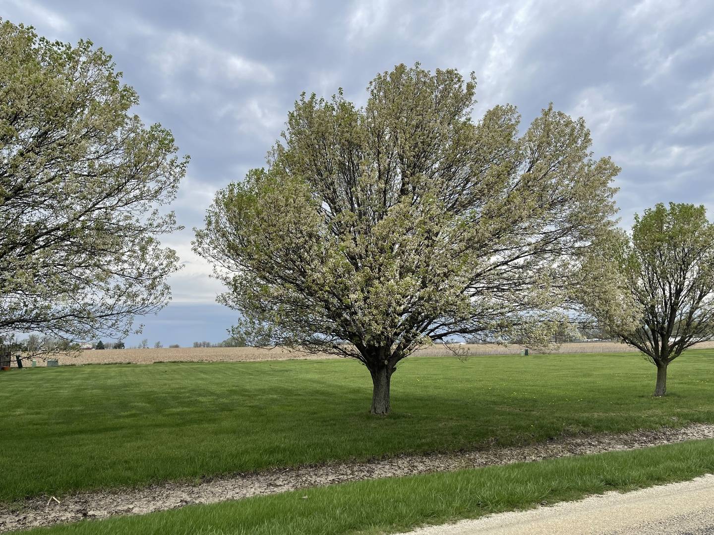 Lot 6 S 16000 W RD, Buckingham, IL 60917