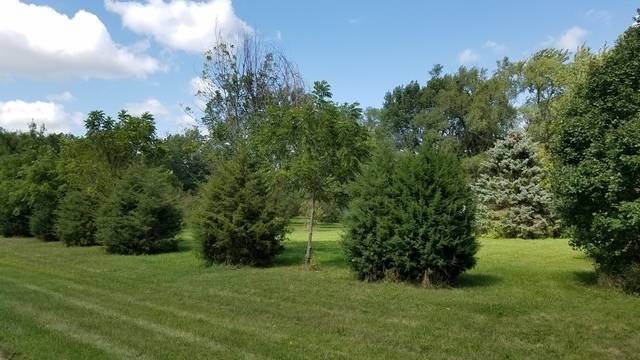 5548 W Heatherbrook TRL, Monee, IL 60449