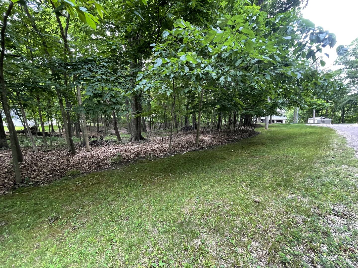 1105 Jay CT, Varna, IL 61375