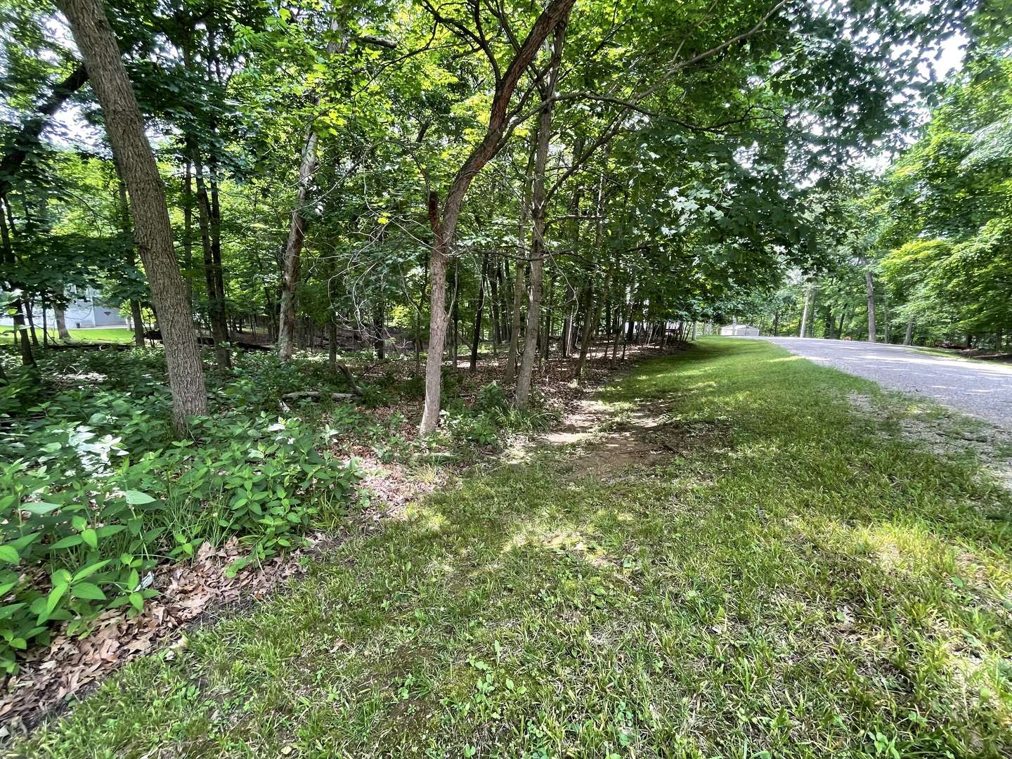 1105 Jay CT, Varna, IL 61375