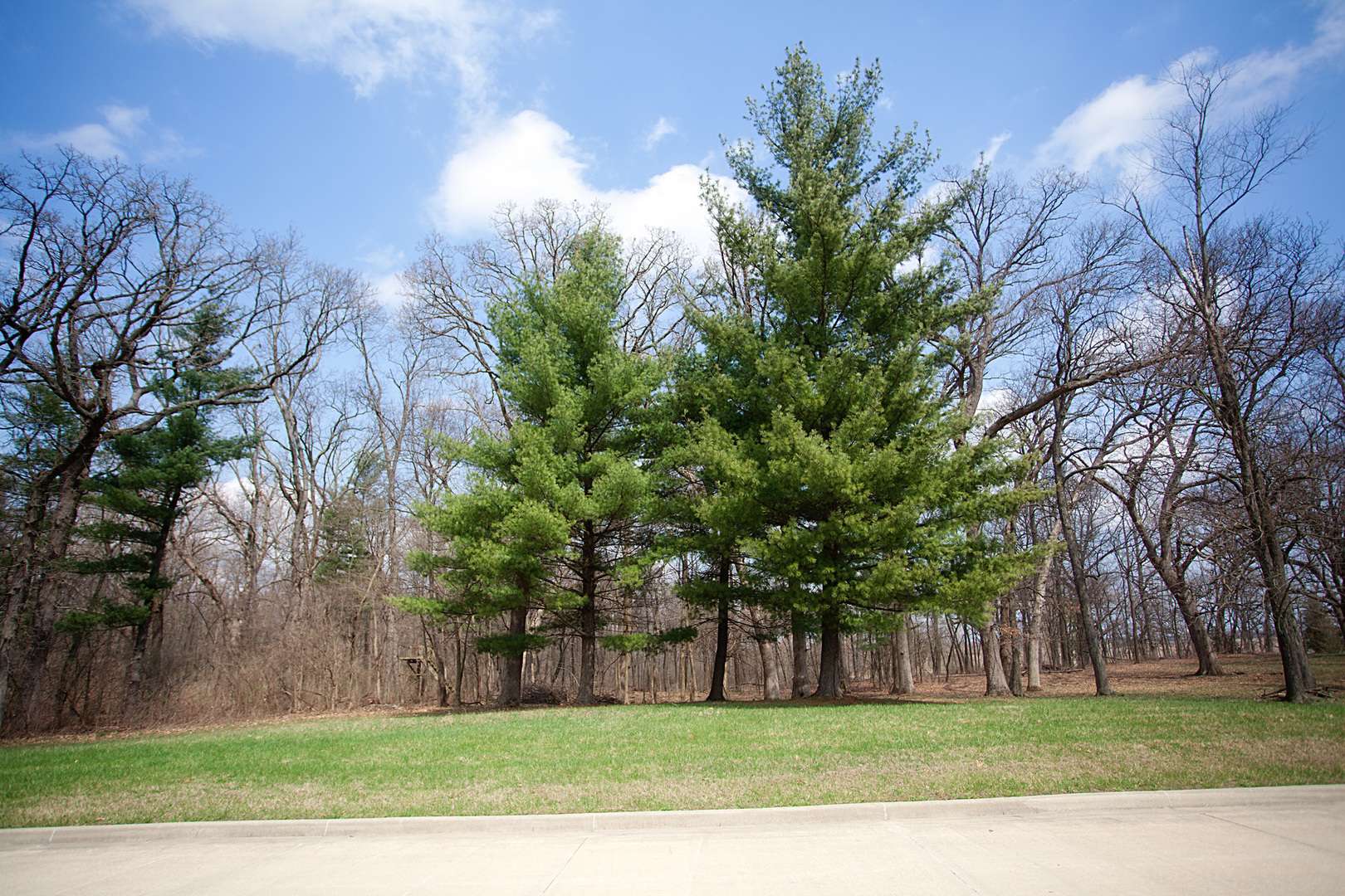 3719 167th AVE, Lowell, IN 46356