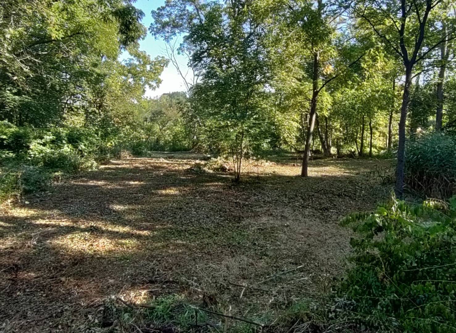 11 Rohrssen Lot 1 RD, Elgin, IL 60120