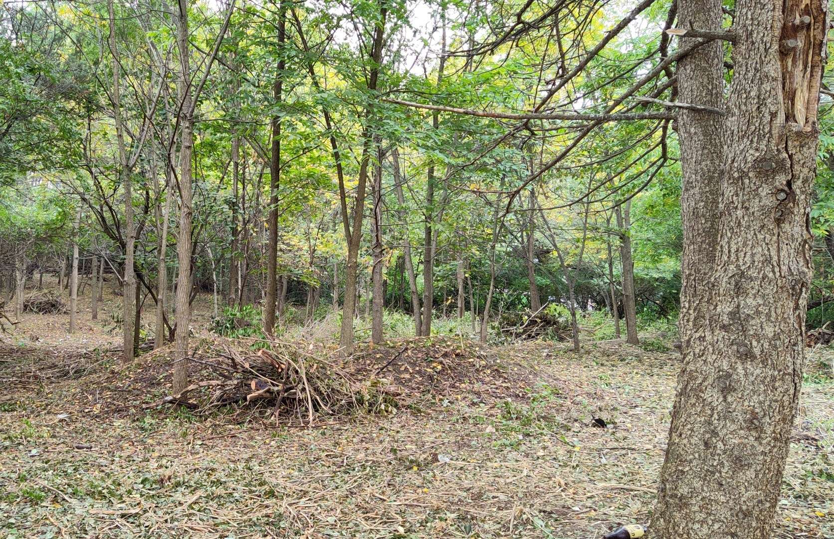 11 Rohrssen Lot 4 RD, Elgin, IL 60120
