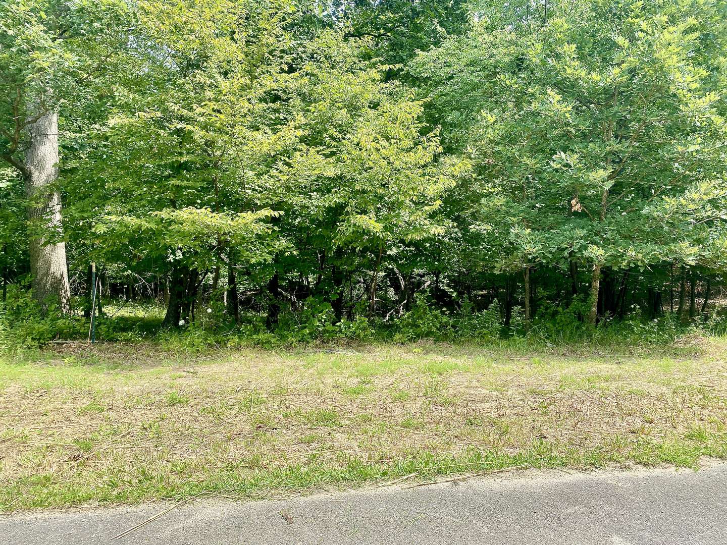 Lot 55 Eagle Chase DR, Seneca, IL 61360