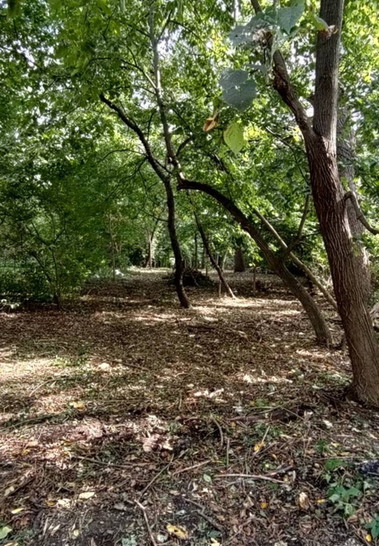 11 Rohrssen Lot 5 RD, Elgin, IL 60120