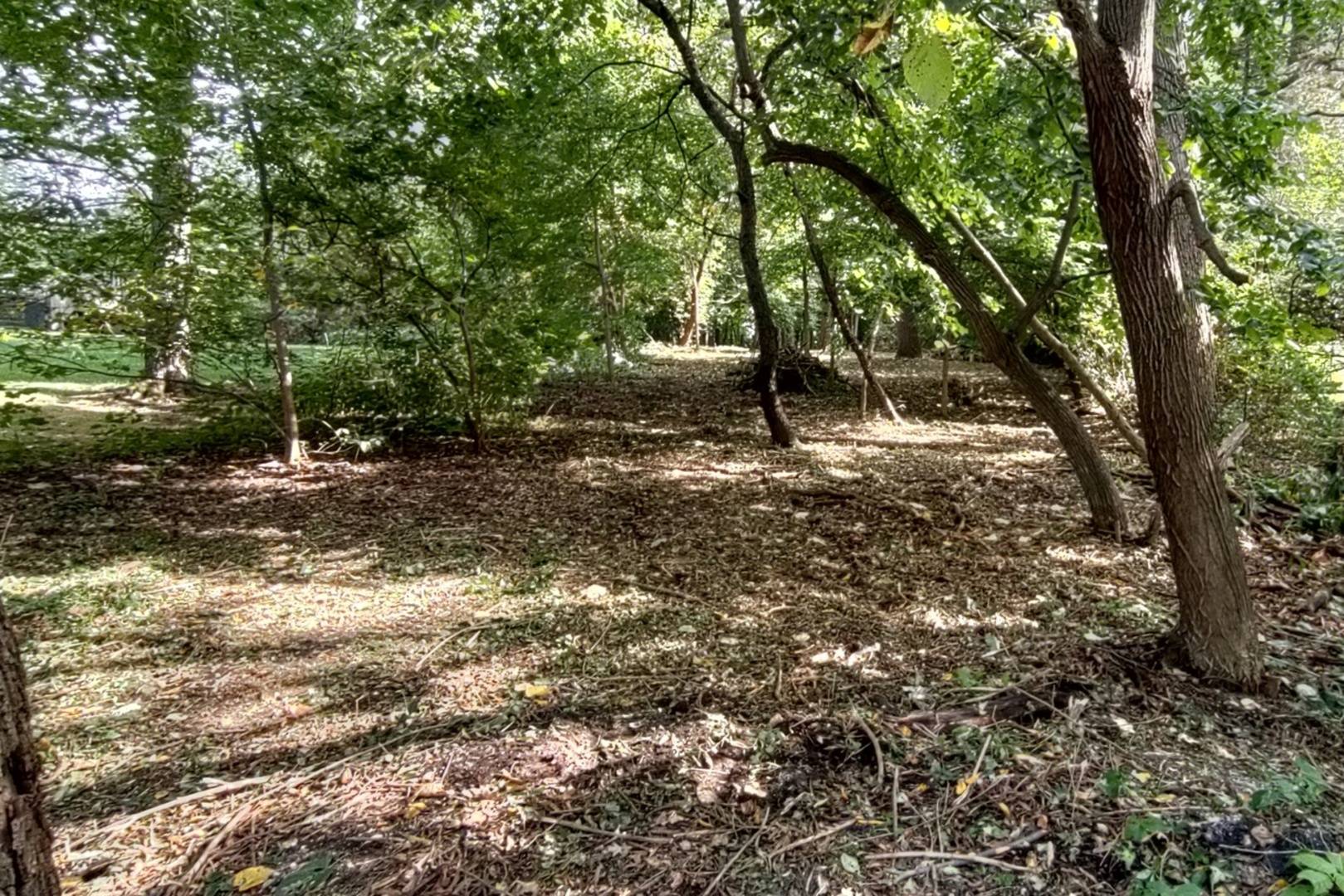 11 Rohrssen Lot 5 RD, Elgin, IL 60120