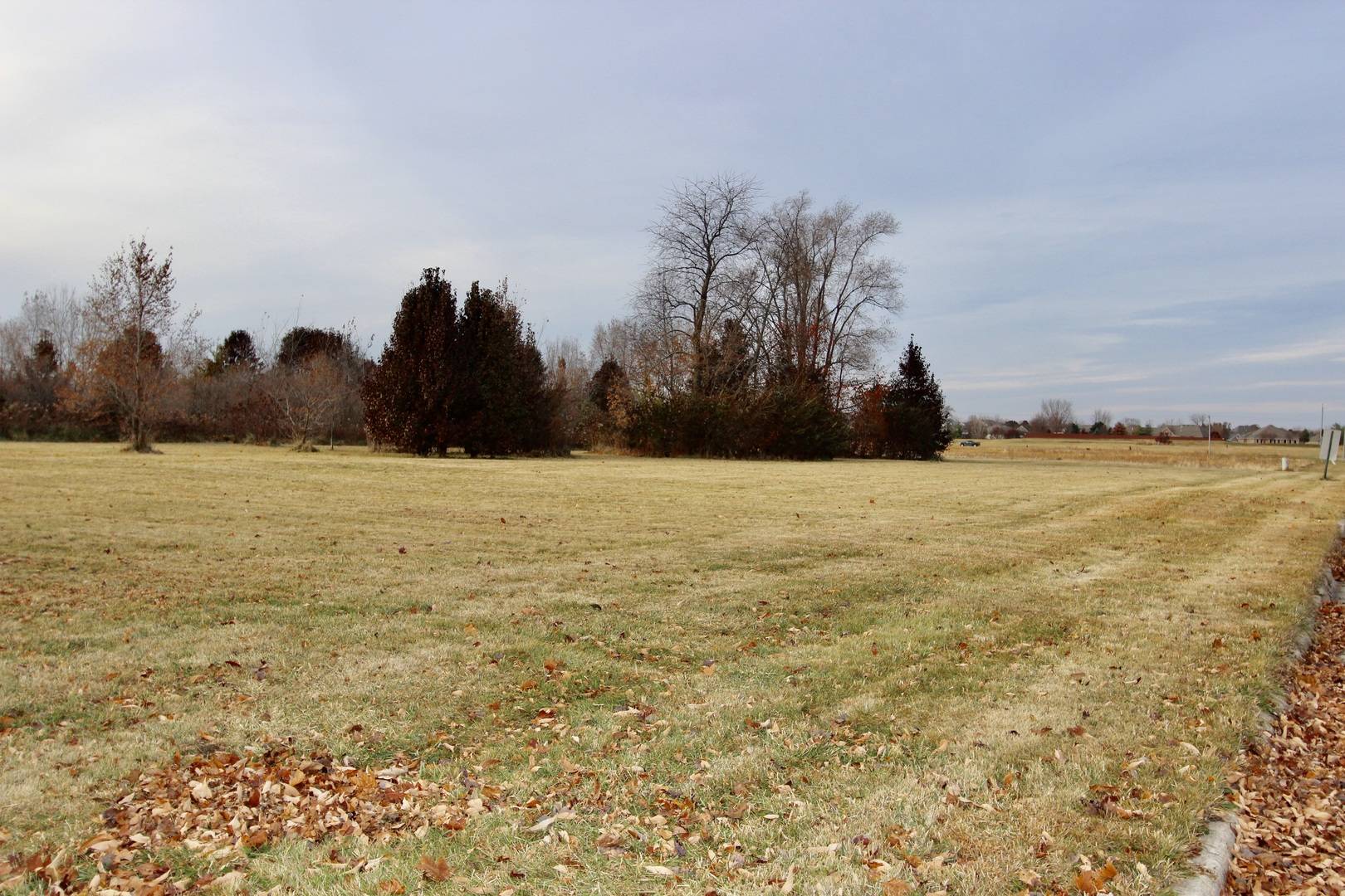 1180 Lakewood DR, Morris, IL 60450