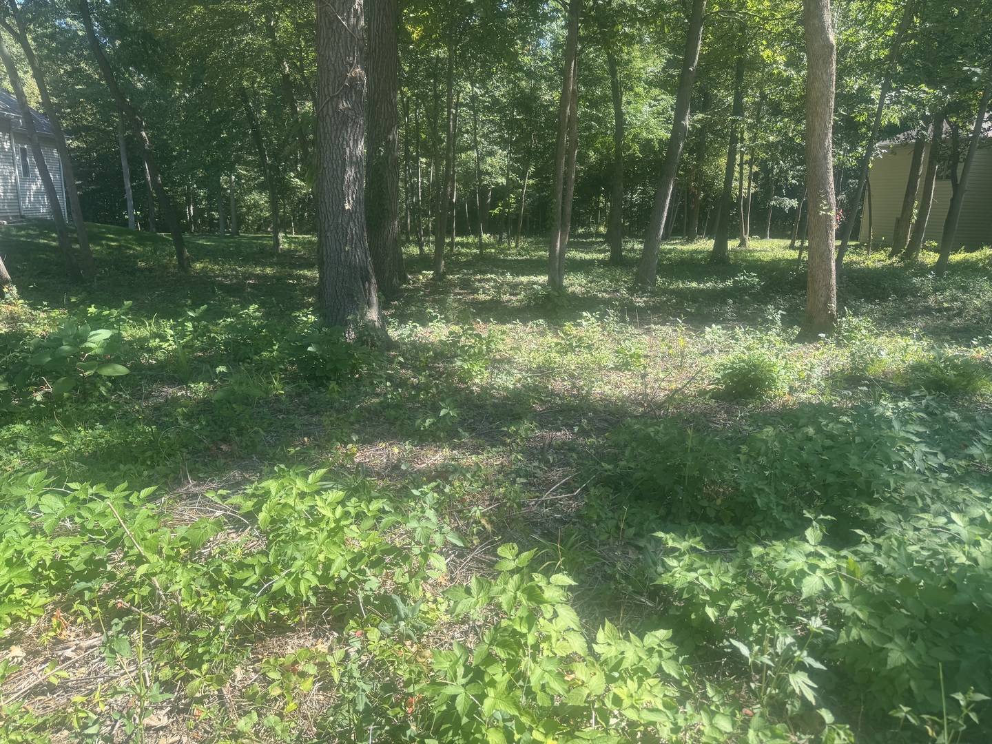 1108 Oakview LN, Genoa, IL 60135