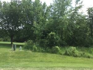 LOT 4 Williams CIR, Genoa, IL 60135
