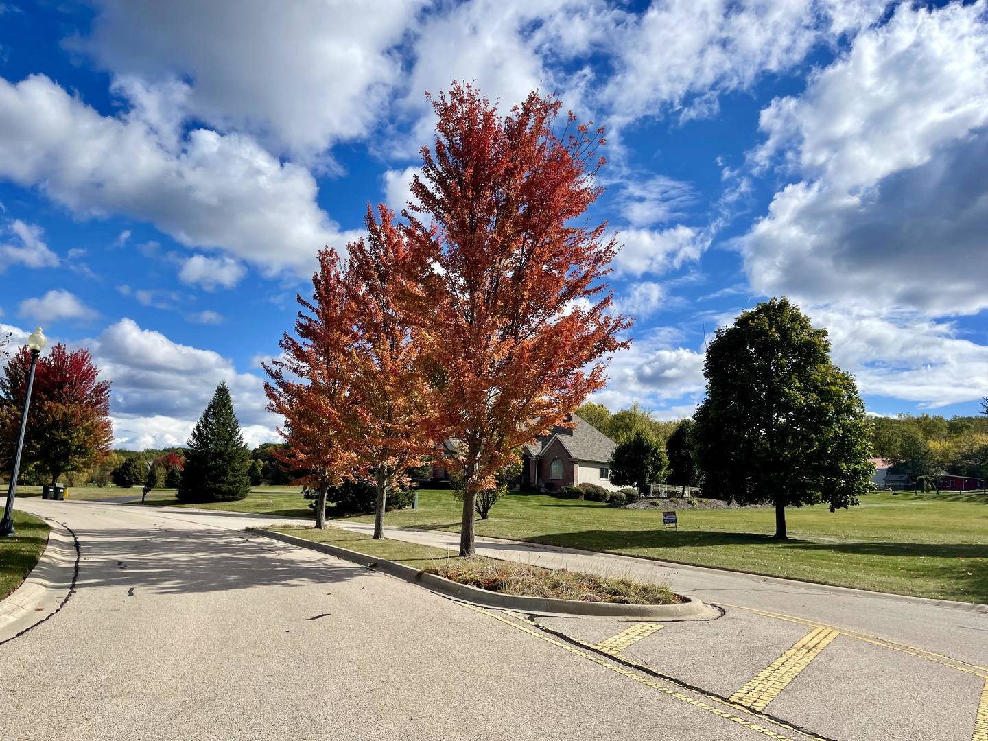Lot 36 Red Oak LN, Spring Grove, IL 60081