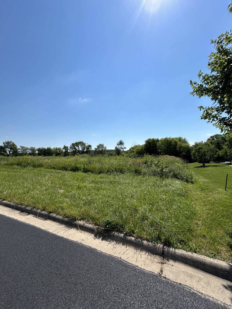 10277 CREEKSIDE PL, Belvidere, IL 61008