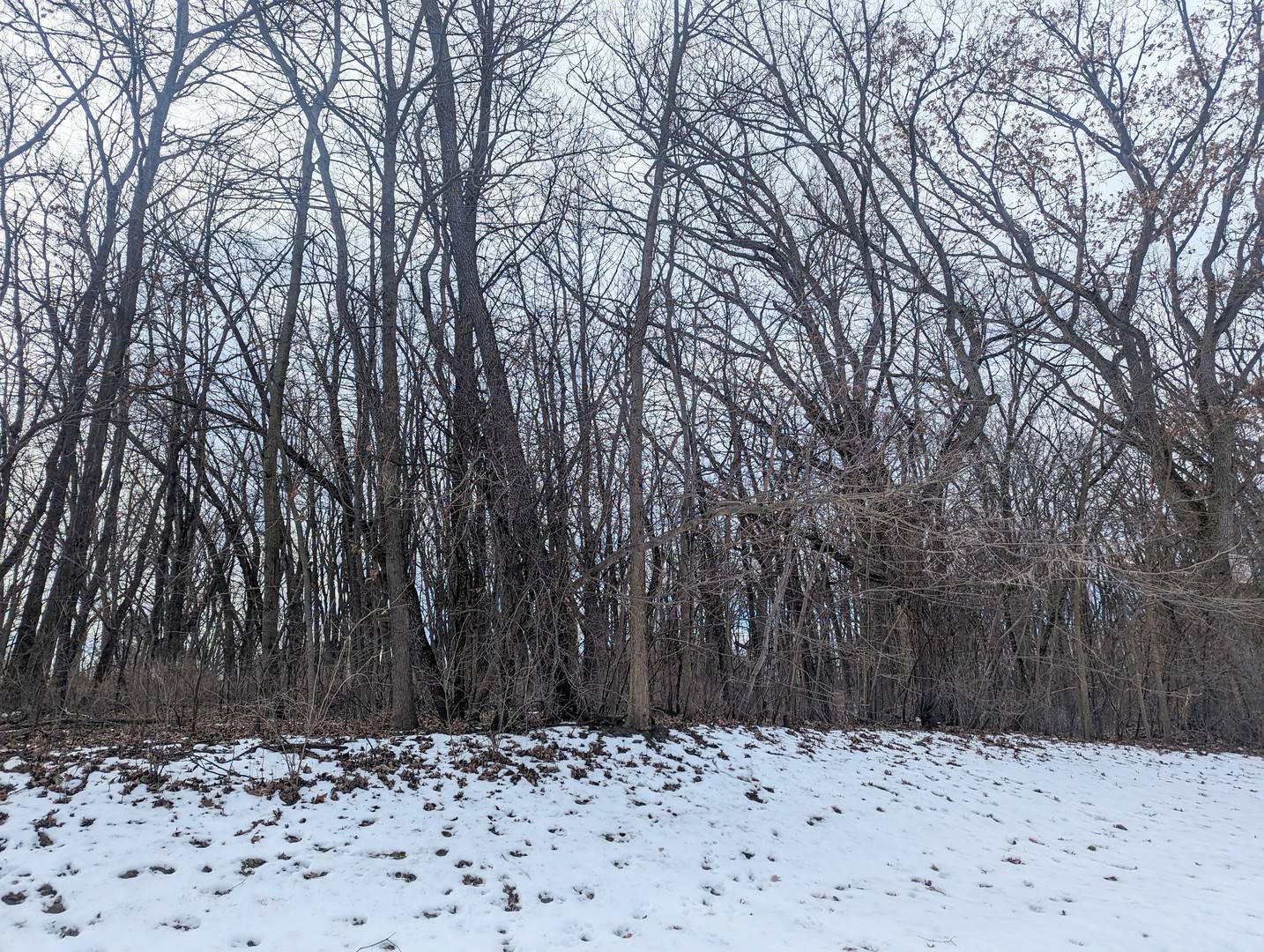 1711 Cedar LN, Spring Grove, IL 60081