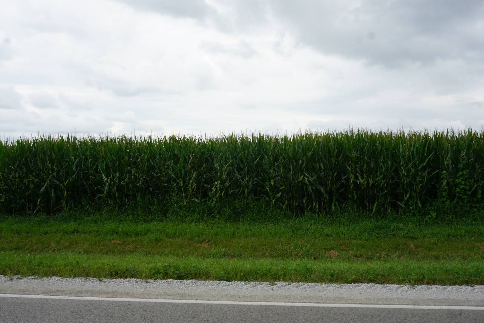 7500 N Rt 50, Manteno, IL 60950