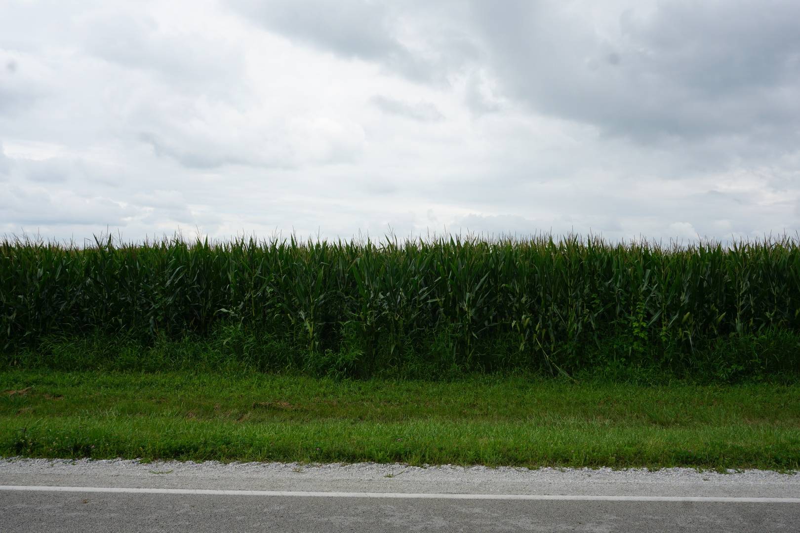 7500 N Rt 50, Manteno, IL 60950