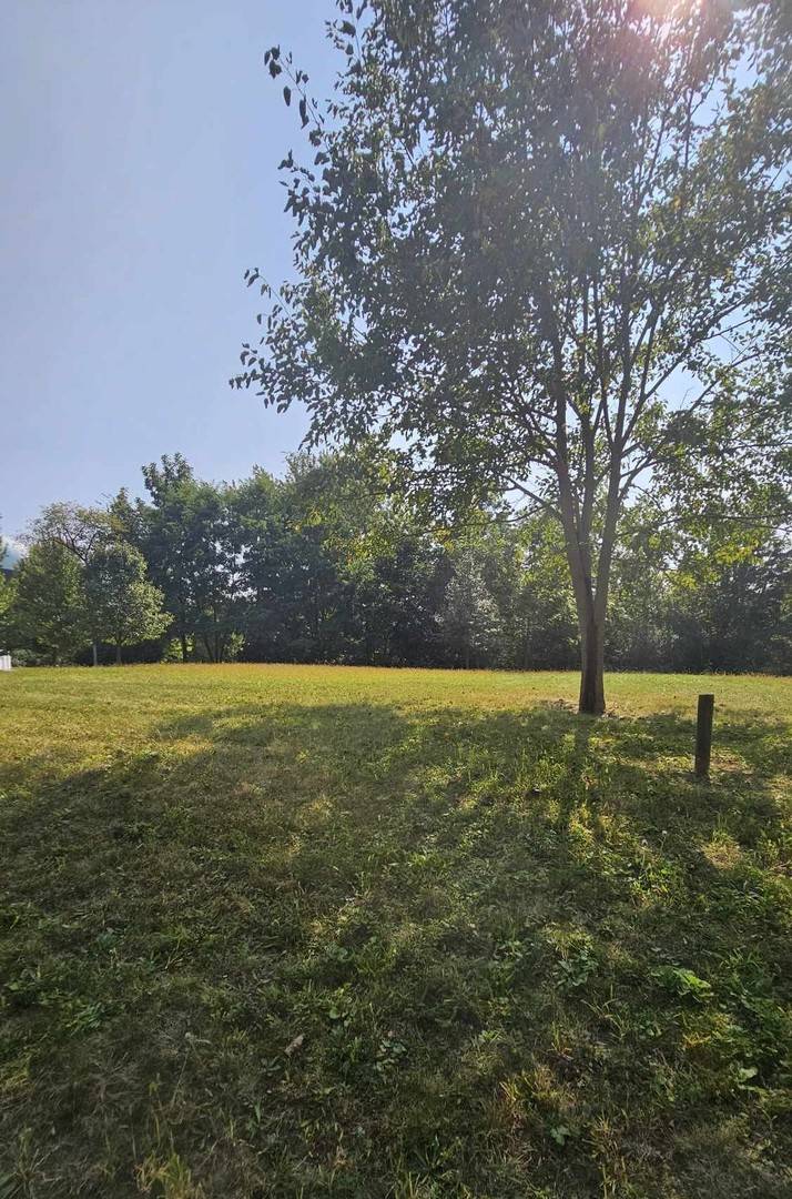 428 WOODLAND TRL, Lindenhurst, IL 60046