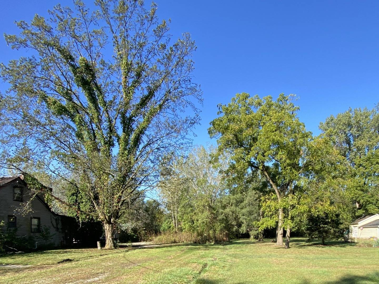 00 LOT 180th ST, Tinley Park, IL 60477