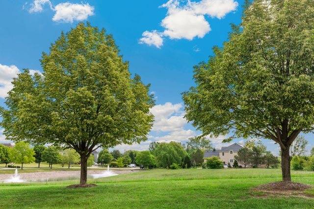 8 Falcon Lakes DR, South Barrington, IL 60010