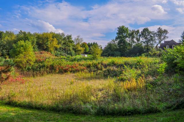 4353 Carlisle DR, Crystal Lake, IL 60012