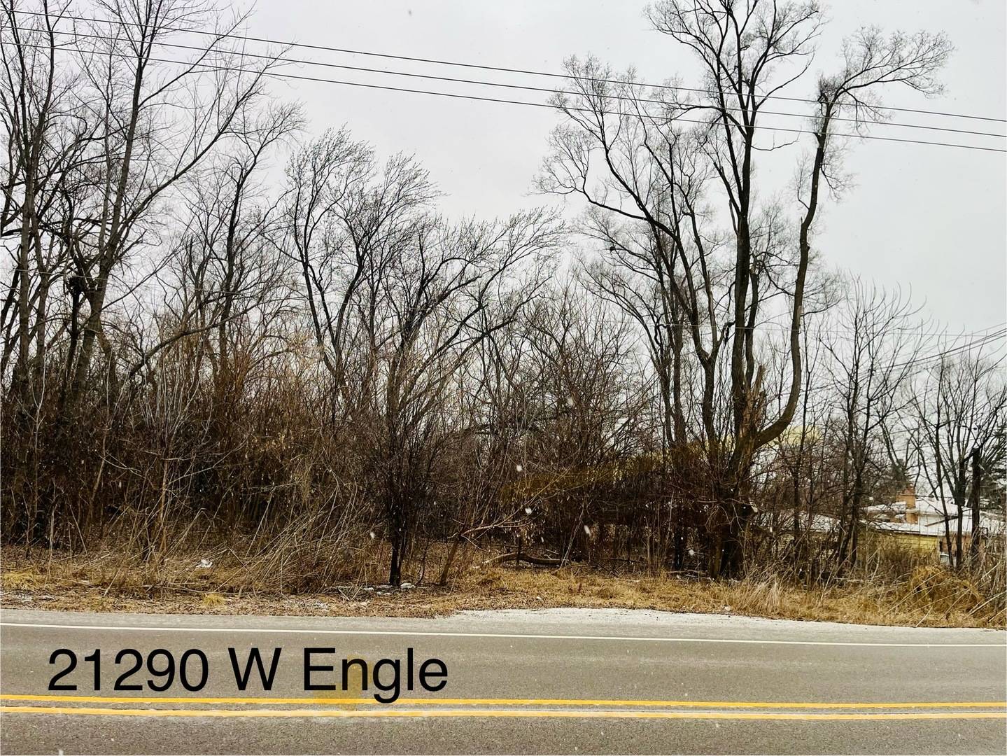 21290 W Engle DR, Lake Villa, IL 60046