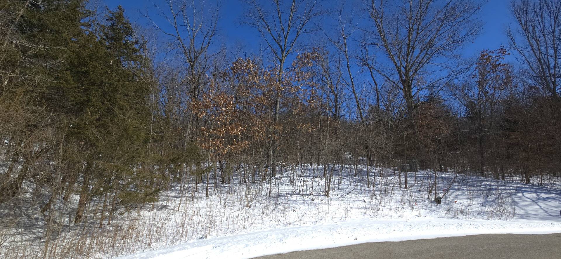 4 Boulder LN, Galena, IL 61036