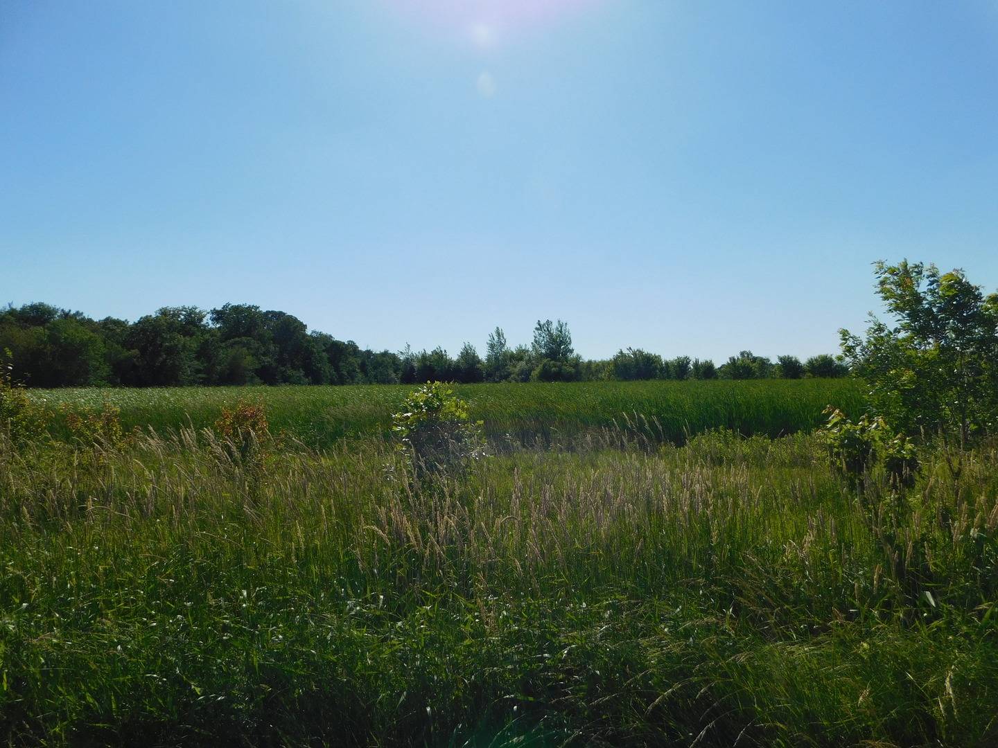 1386 N 4535th RD, Earlville, IL 60518