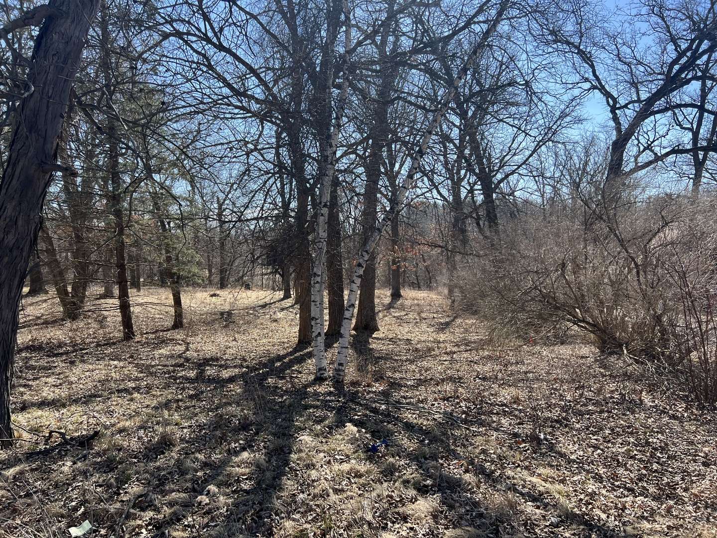 16524 Grove Creek CIR, Pecatonica, IL 61063