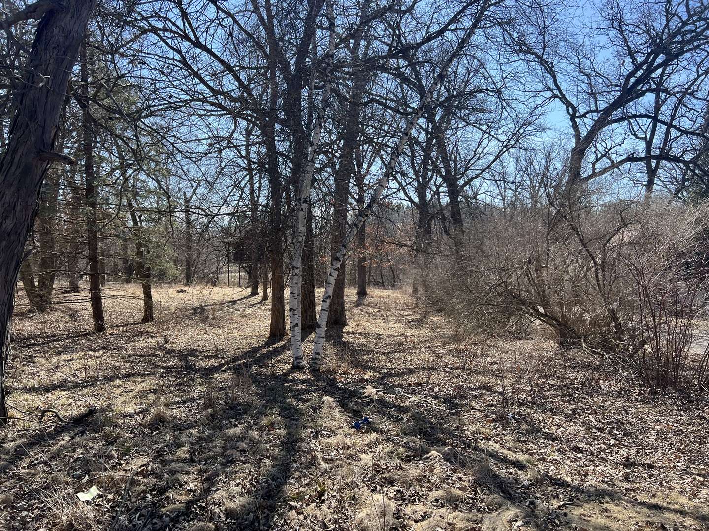 16524 Grove Creek CIR, Pecatonica, IL 61063