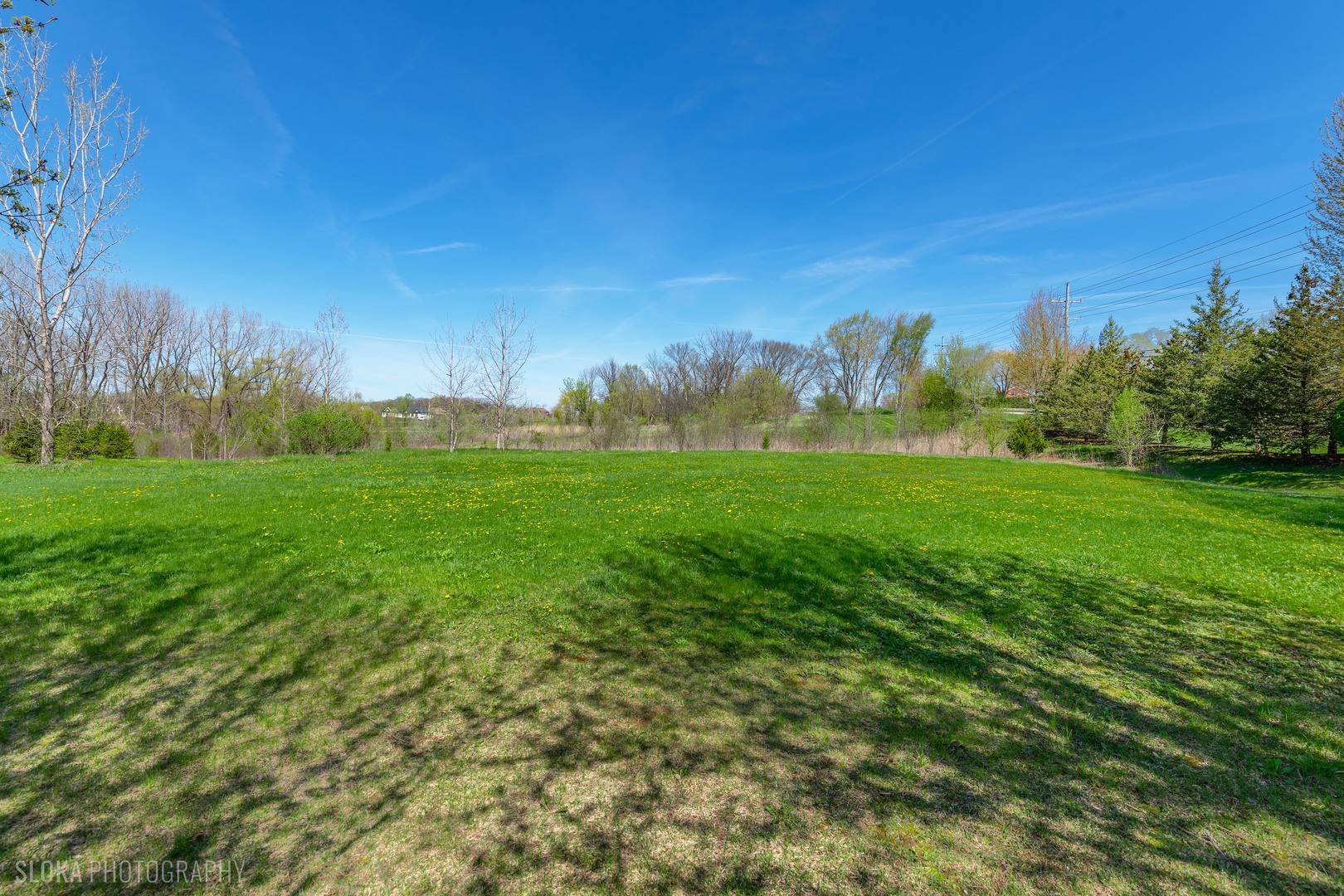 6475 Woodland Hills DR, Lakewood, IL 60014