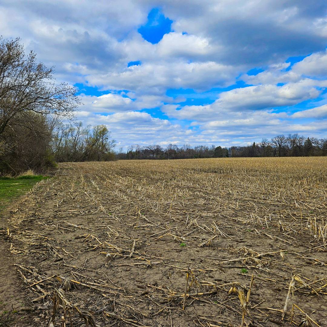 26155 W IL Route 120, Grayslake, IL 60030