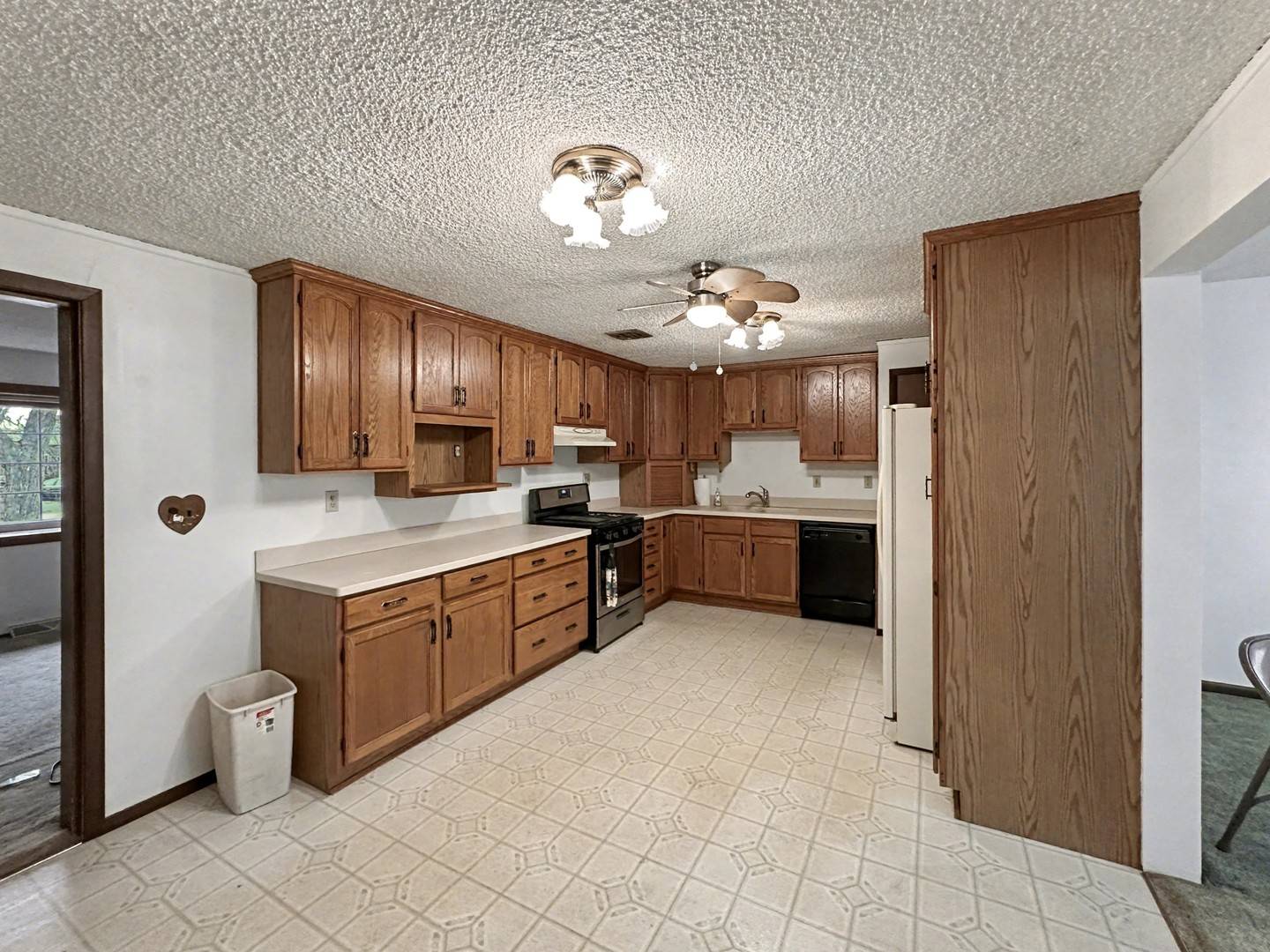 107 S Clinton ST, Ashkum, IL 60911