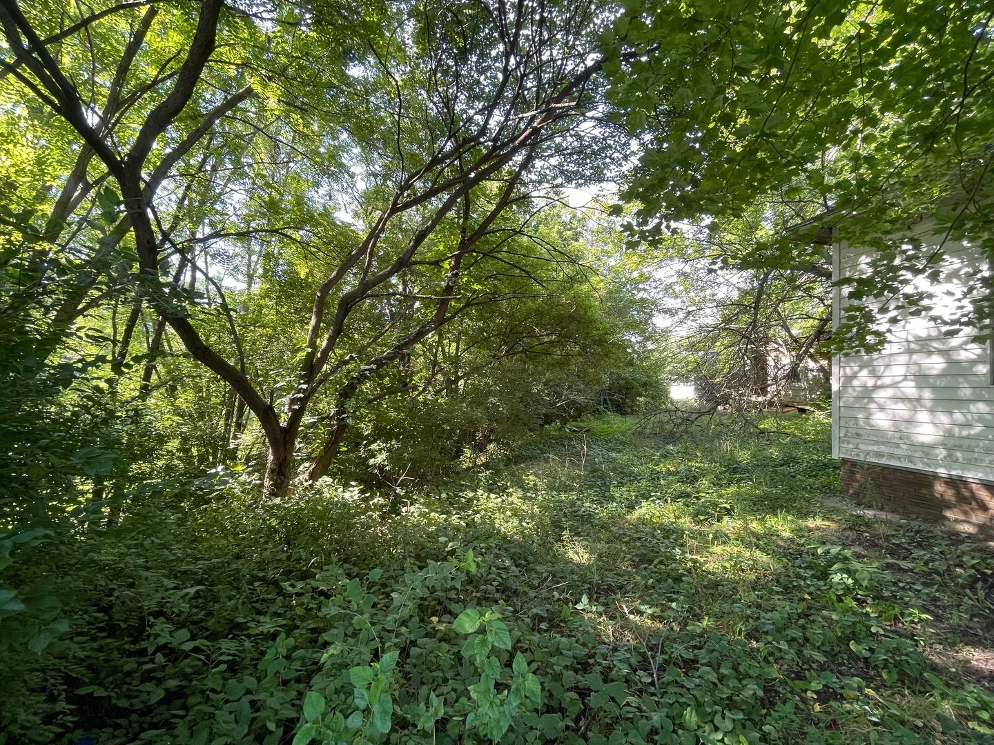 608 S Elm ST, Villa Grove, IL 61956