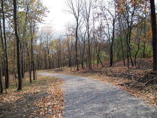 Lot #6 Thirty Foot Trail RD, Oglesby, IL 61348