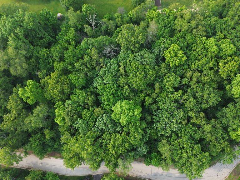 7408 Forest Oak DR, Mchenry, IL 60050