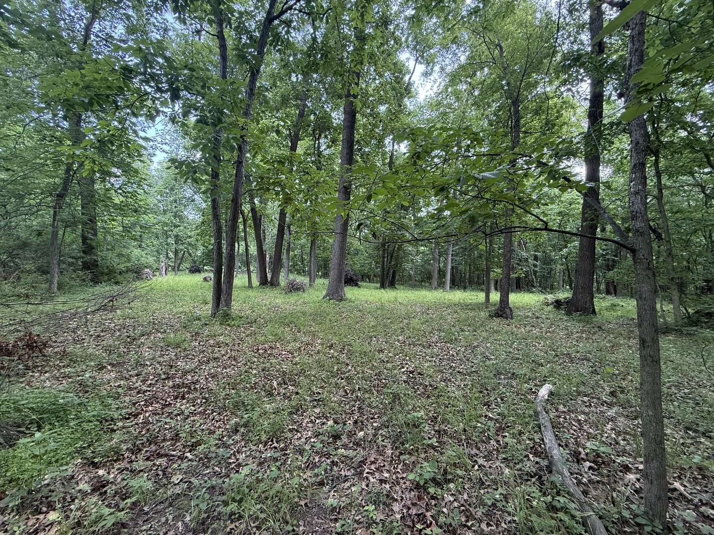 Lot 235 Lake Thunderbird DR, Tiskilwa, IL 61368
