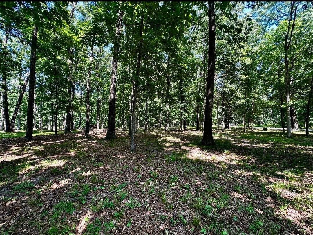 220 Beyers Lake Est, Pana, IL 62557