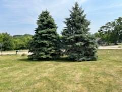 704 Russell CT, Heyworth, IL 61745