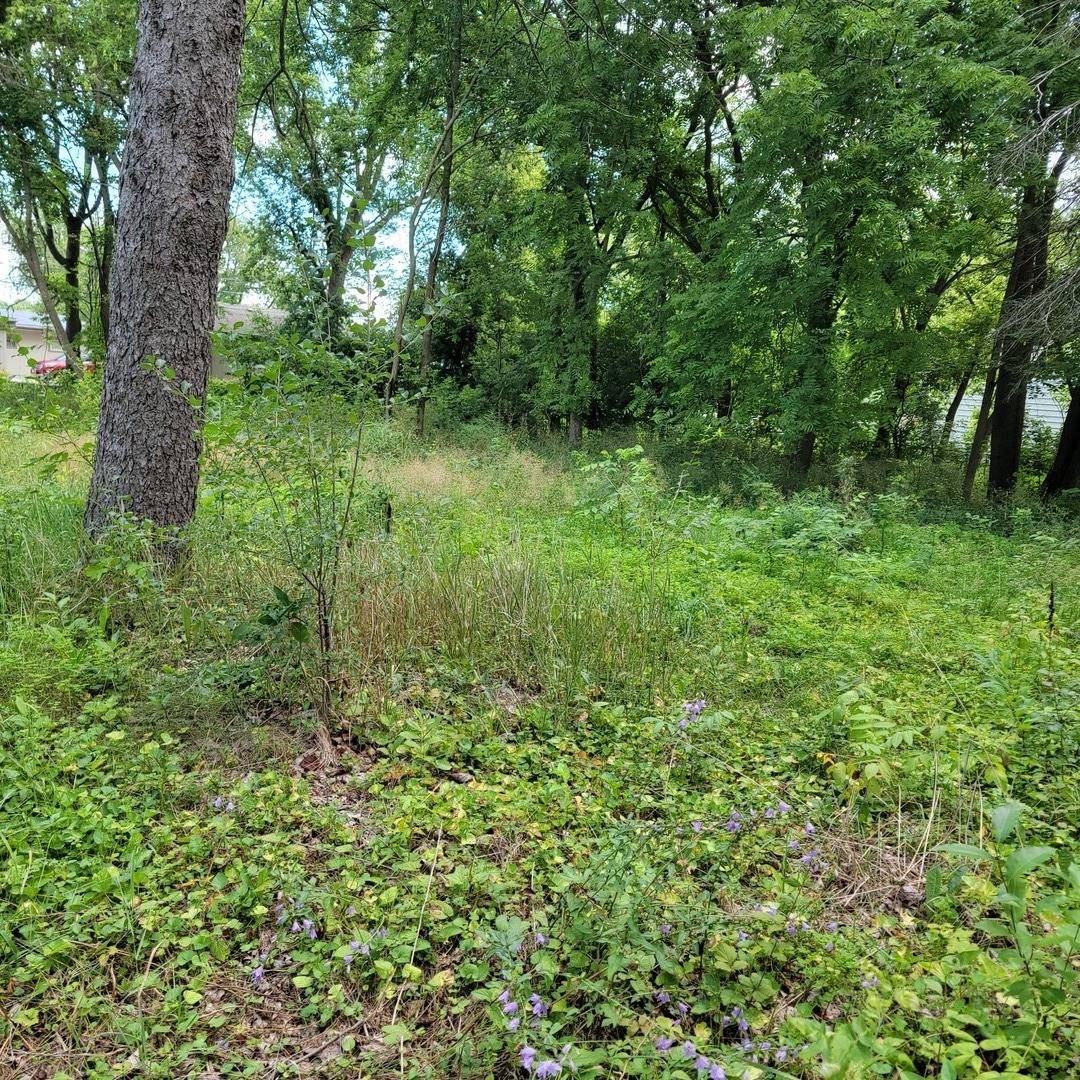 25570 W High ST, Wauconda, IL 60084