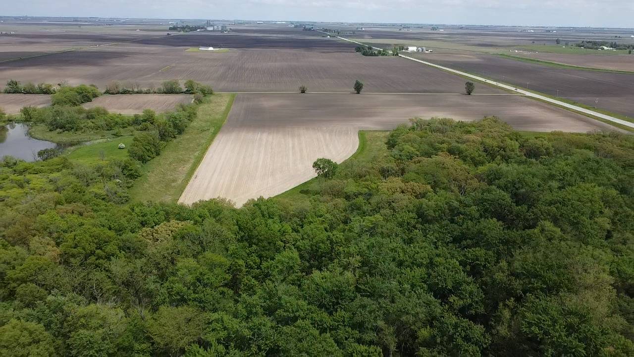 Lot D Highway 136 HWY, Fisher, IL 61843