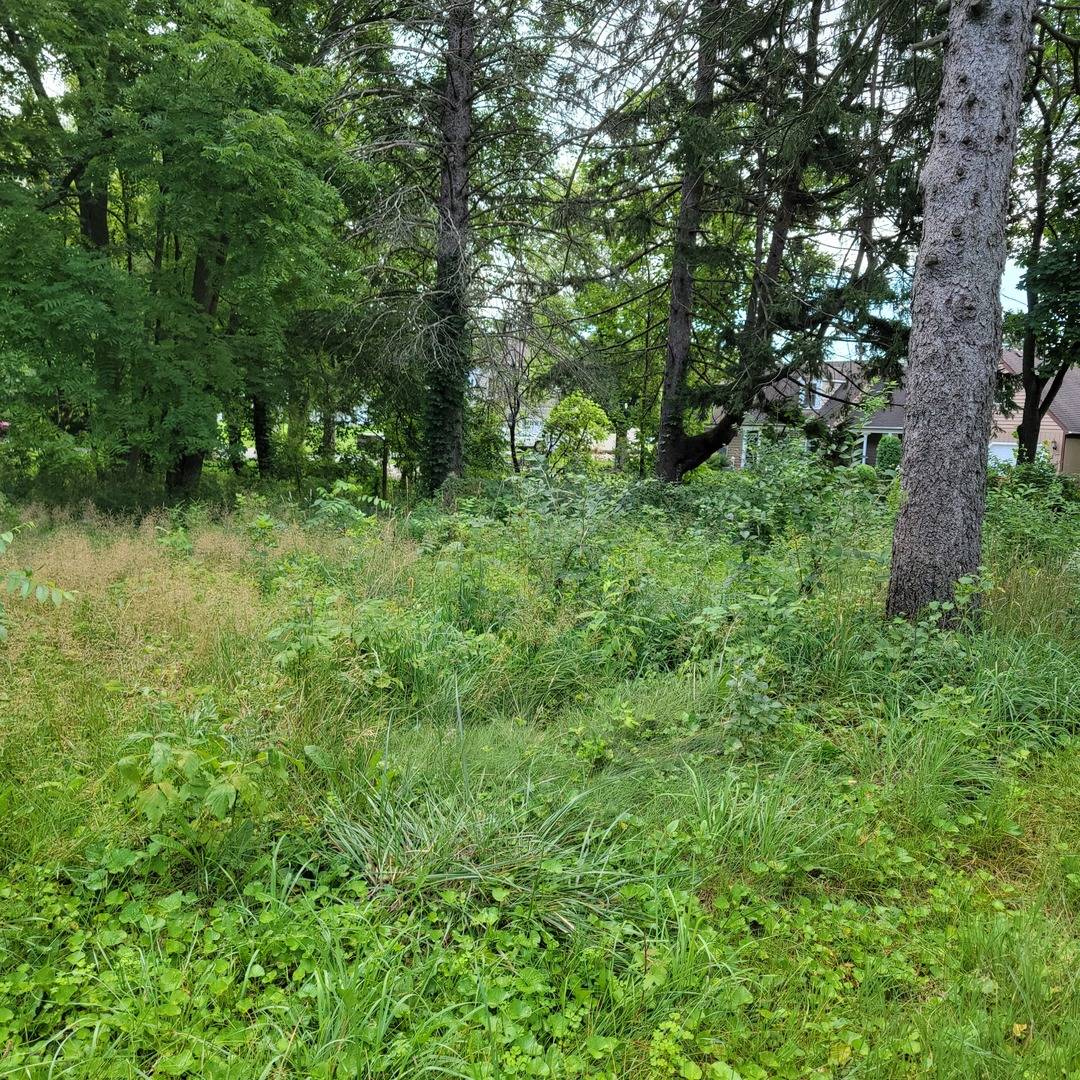 25578 W High ST W, Wauconda, IL 60084