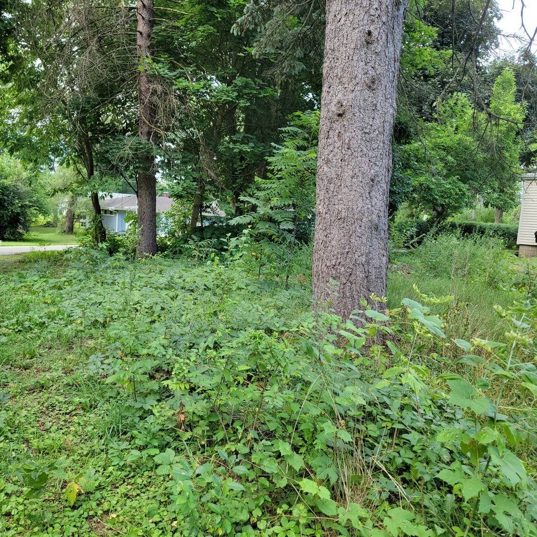 25586 W High ST W, Wauconda, IL 60084