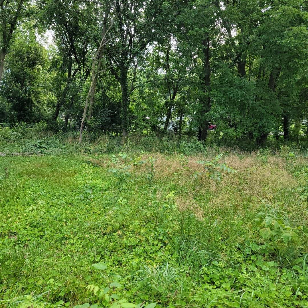 25586 W High ST W, Wauconda, IL 60084