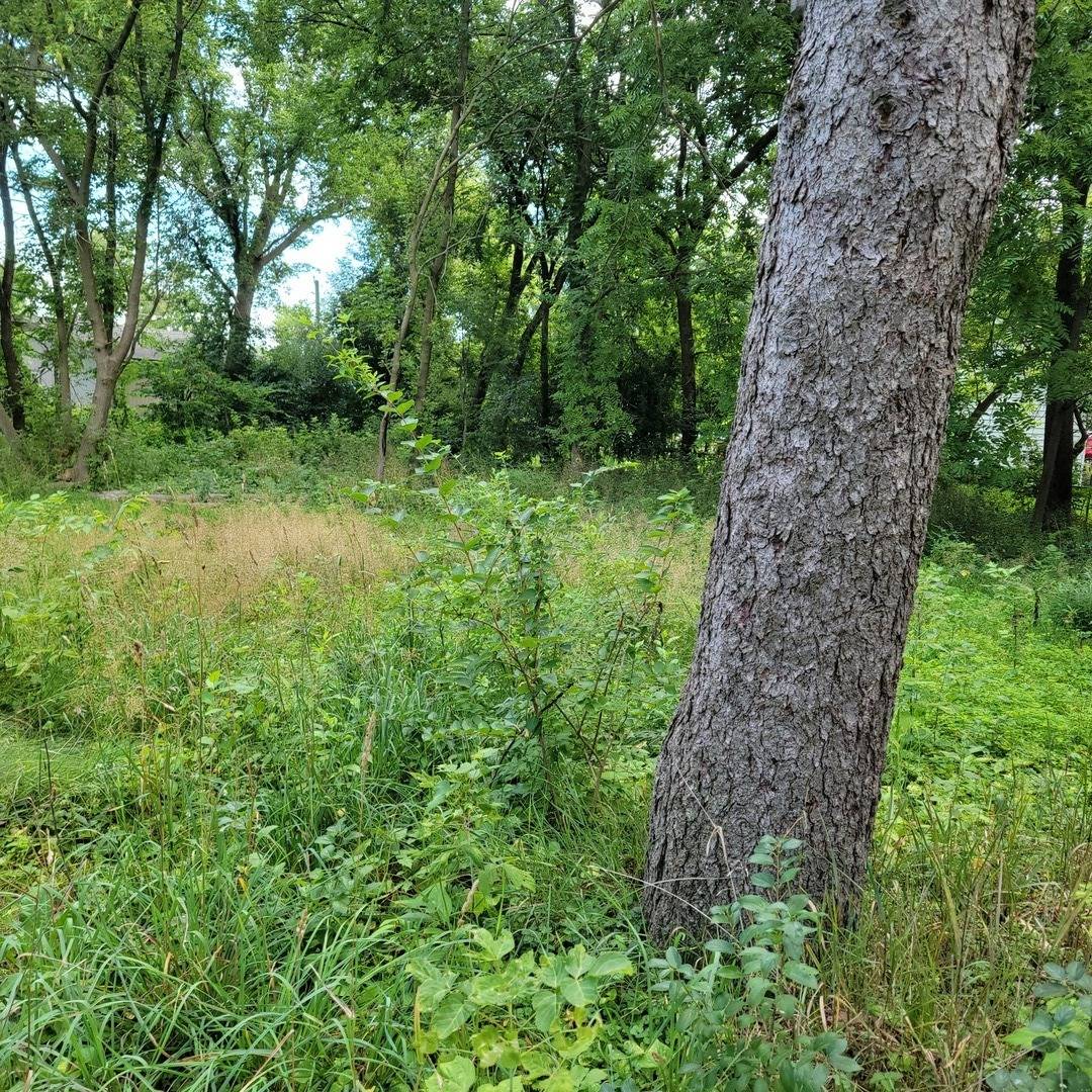 25586 W High ST W, Wauconda, IL 60084