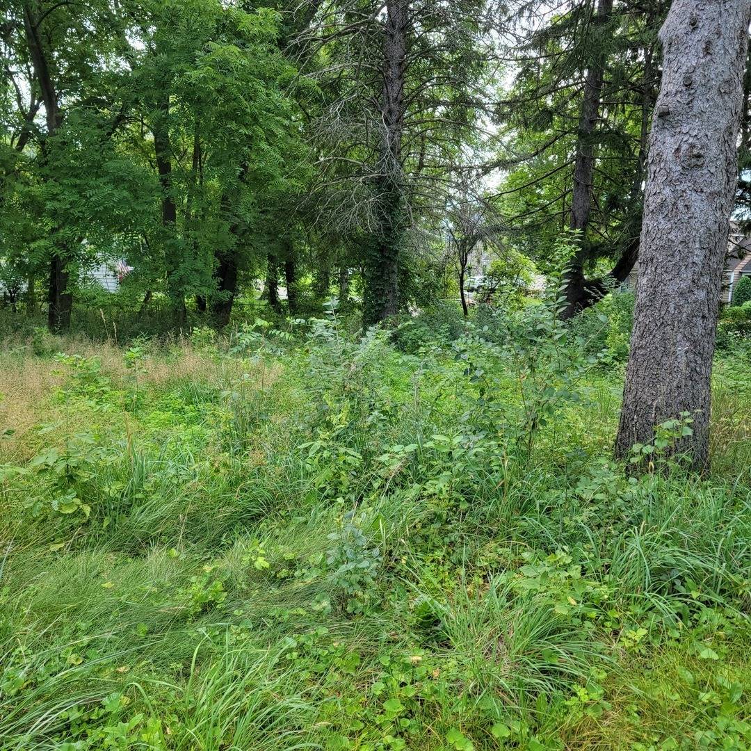 25586 W High ST W, Wauconda, IL 60084