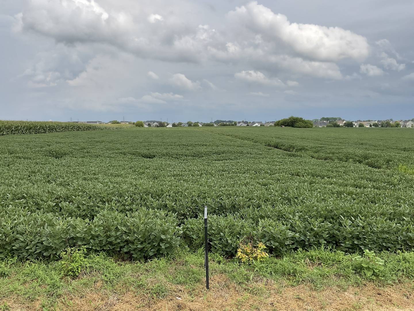 10.38 acres S Heggs RD, Plainfield, IL 60585