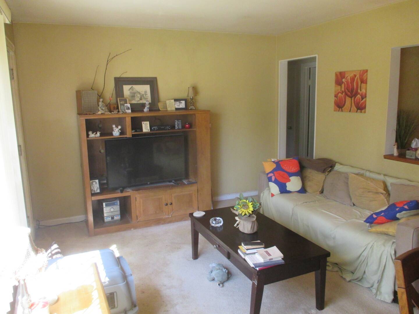 439 N Iowa AVE, Villa Park, IL 60181