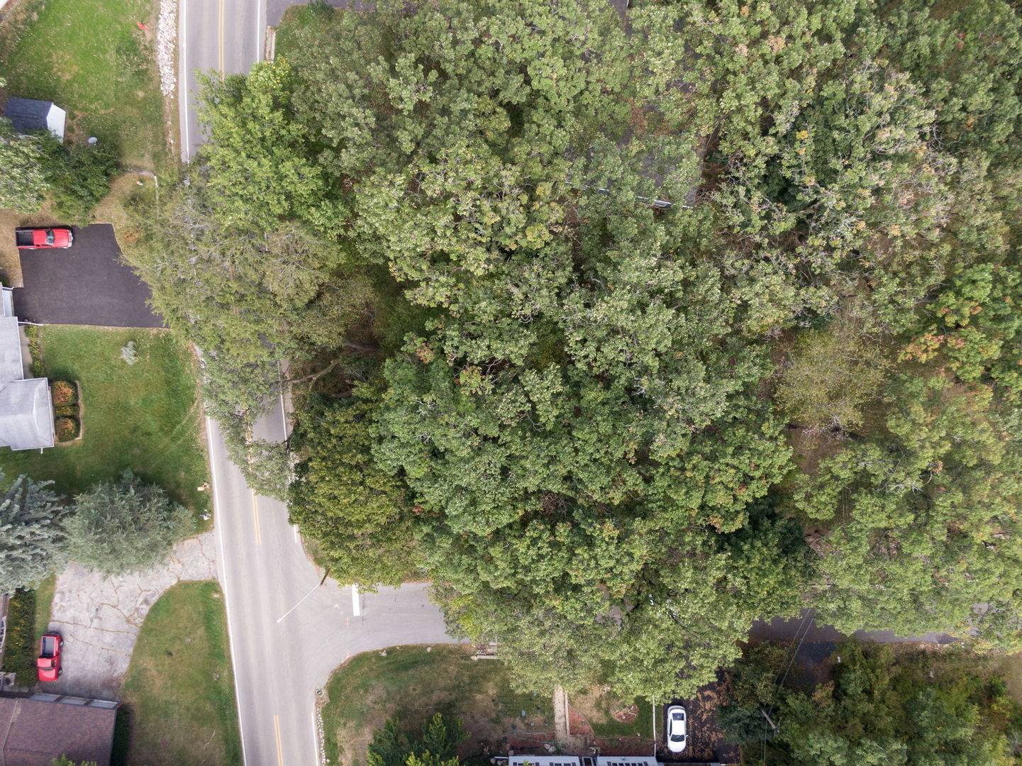 Lot 8 Elmwood DR, Carpentersville, IL 60110