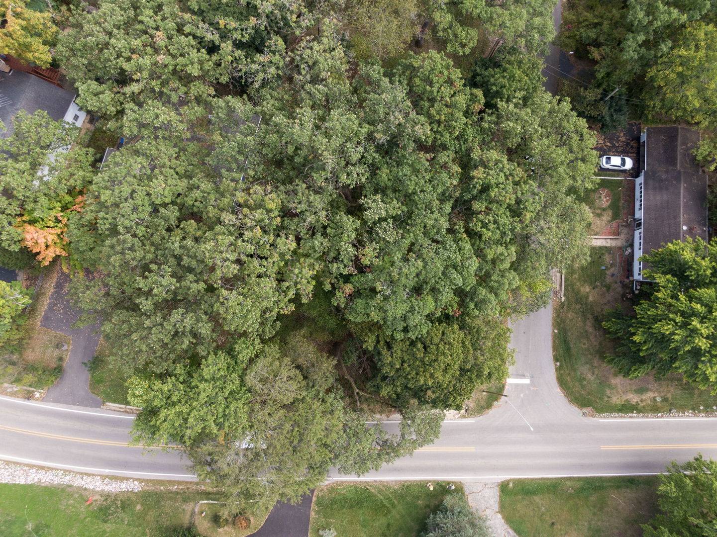 Lot 8 Elmwood DR, Carpentersville, IL 60110